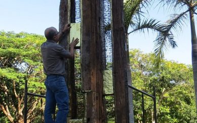 A arte pedro-leopoldense que o mundo vê no Parque do Sumidouro