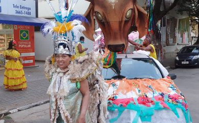 Bloco do Boi encerra carnaval no centro de PL