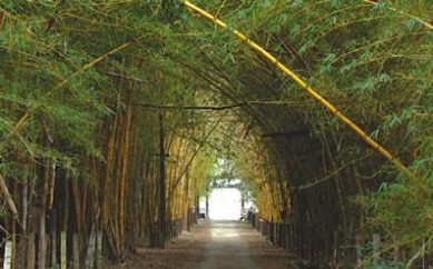 Entidades espíritas e UFMG acordam visitação à Fazenda Modelo