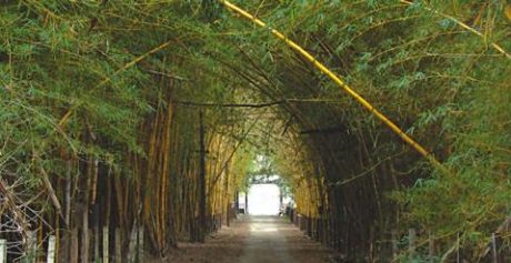 Até que enfim uma boa notícia vinda de Pedro Leopoldo!