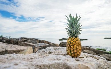 Vai entender os “empreendedores” da cidade…sério, parece que não querem vender