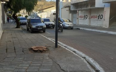 Mais uma árvore é cortada em PL….você já viu alguma sendo plantada?