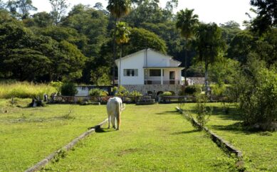 UFMG quer abrir Fazenda Modelo para a cidade