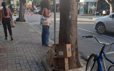 Má gestão de recicláveis pode aumentar casos de dengue