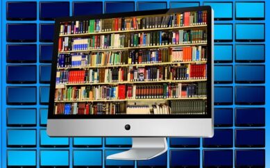 O papel do Mestrado (MPA) da FPL no desenvolvimento do Vetor Norte