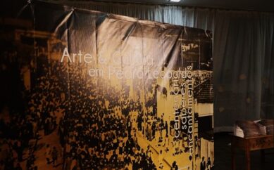 UMA VIAGEM AO REINO DE PEDRO LEOPOLDO: IMPRESSÕES